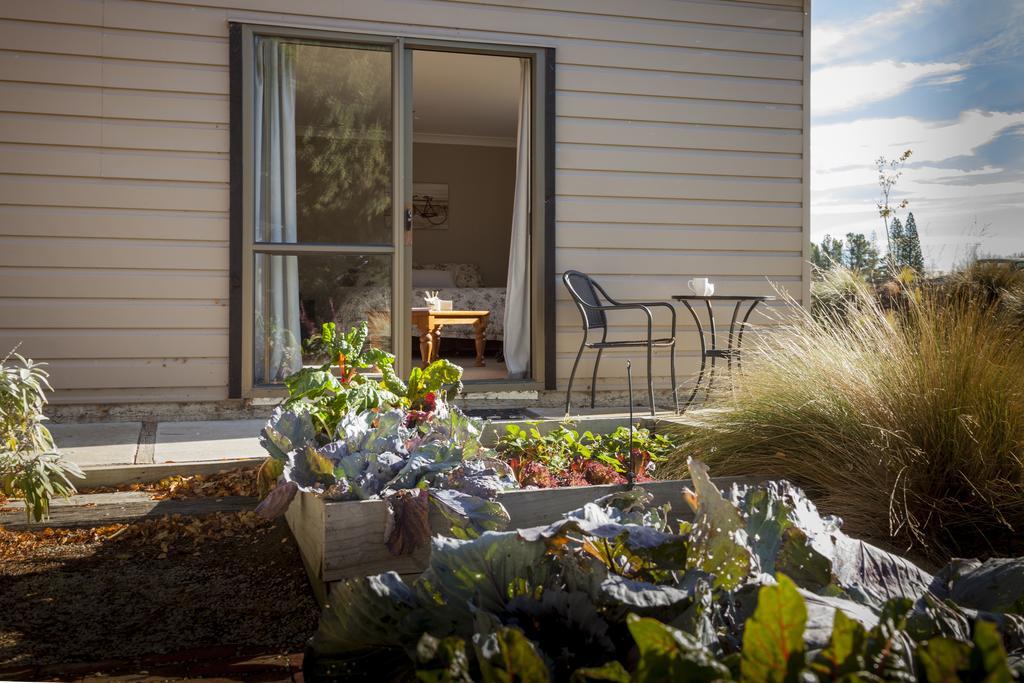 Trout 'N' Trail B&B Ranfurly Room photo