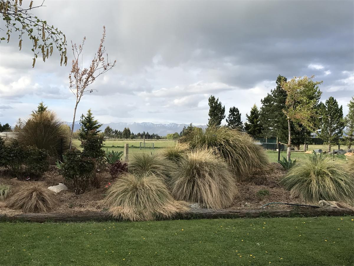 Trout 'N' Trail B&B Ranfurly Exterior photo